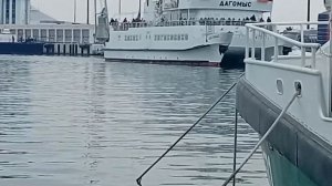 Рыбалка в порту Сочи: Форель на чашку и кефаль