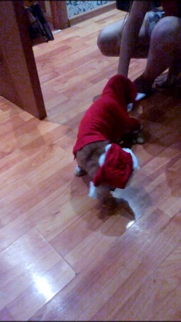 спорт,прикол,туризм,вело,мото,сделай сам, смотреть онлайн