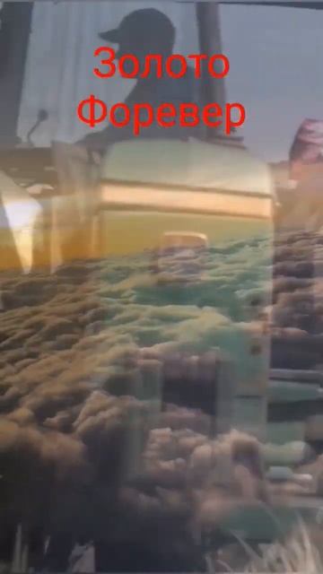 Чистейший, Целомудренный Сок #алоэвера #брест #форевер смотреть онлайн