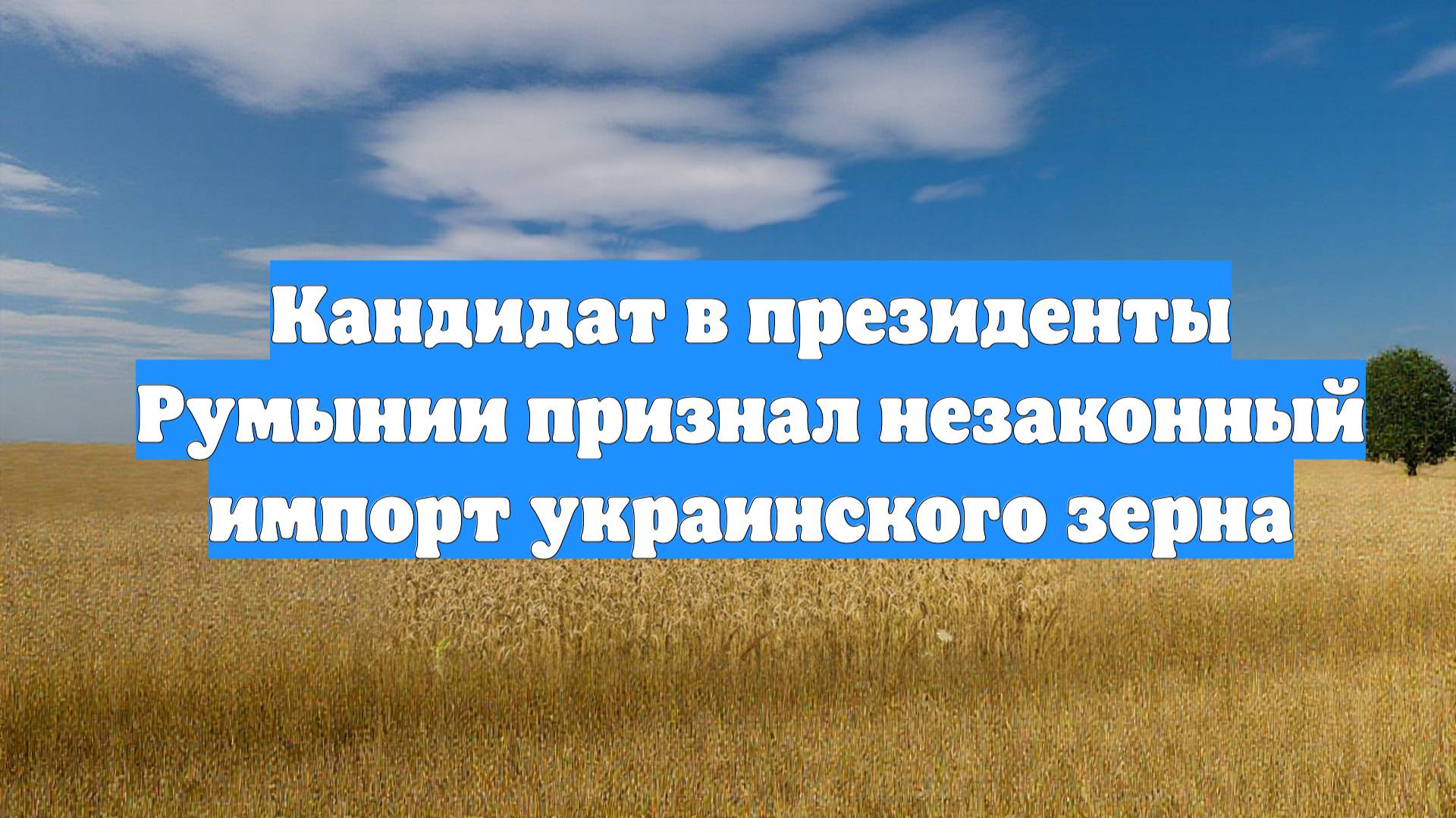 Кандидат в президенты Румынии признал незаконный импорт украинского зерна