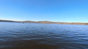 Волчихинское водохранилище (Флюс). Судак, щука, лещ.