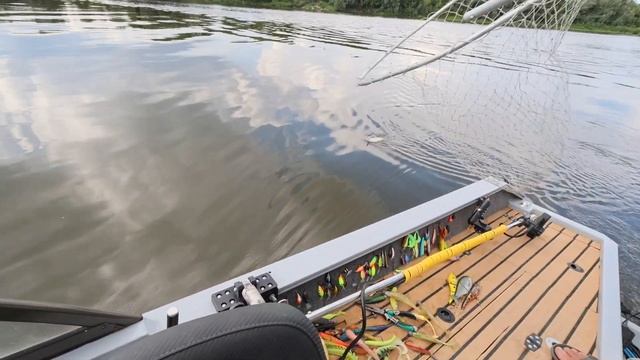 Рыбалка на Оке, Судак 2600 и море Головля недавали прохо? смотреть онлайн