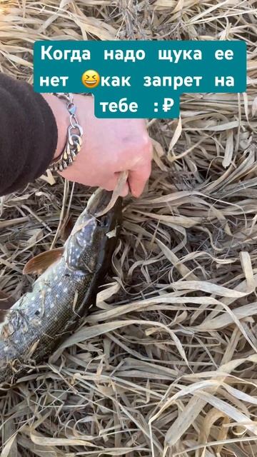 Как же круто в такую погоду находиться на воде) #рыбалк смотреть онлайн