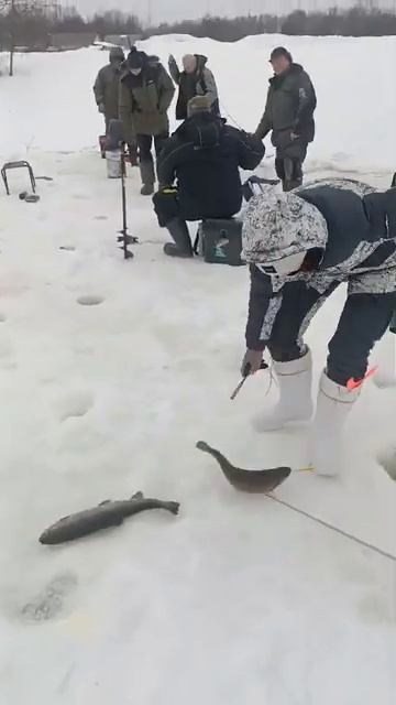 На Раттлин смотреть онлайн