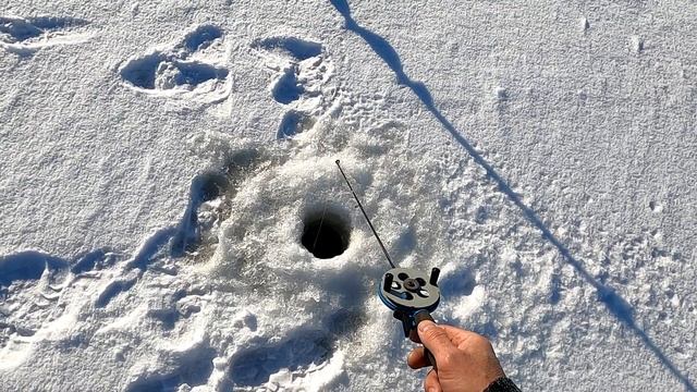 С женой на рыбалке l Мороз и солнце, день чудесный... смотреть онлайн