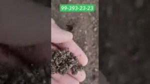 БИОГУМУС гранула