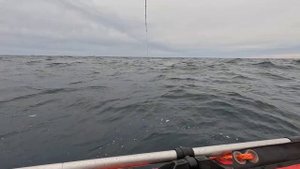 Крутая рыбалка морского окуня