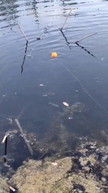 Время проведенное на рыбалке в счёт жизни не идёт 🤣 смотреть онлайн