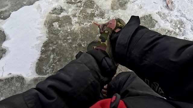 ЛИНЬ СО ЛЬДА ?? kак ловить линя зимой Ha мормышку и подле? смотреть онлайн