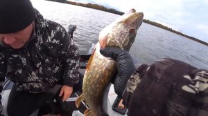 Поклёвка за поклёвкой! Рыбалка на троллинг! Щуки атаку