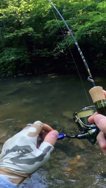 ПЕРВАЯ ФОРЕЛЬ #рыбалка #fishing #trout #форель #shorts #fishingshorts смотреть онлайн