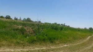 рыбалка 25 мая Краснодарский край дгк х Лебеди