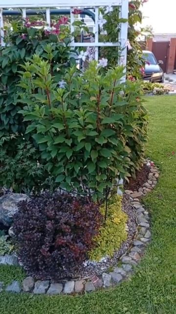 15 июля 2024 г.