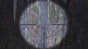 Снайпер в лазертаге.