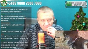 Мамонтёнок - начинающий блогер парка львов Тайган - ПРЯМОЙ ЭФИР 09.01.2025