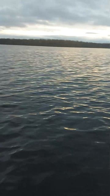 Не большой улов зубатка и треска !!! рыбалка fishing рыба?