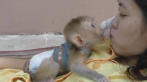 Обезьянка КРОХОТУЛЯ лежит на маме обнимает целует Гладят Засыпает Спит Мама в гамаке качается