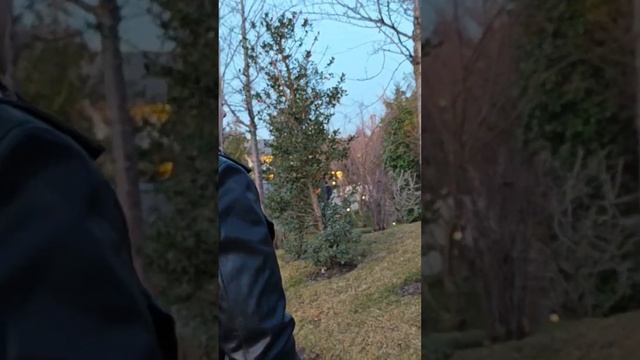 САМОЕ КРАСИВОЕ МЕСТО В КРАСНОДАРЕ - ПАРК ГАЛИЦКОГО ❤️