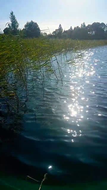 🏡🦭🐟🐳БЕЛАРУСКАЯ ДЕРЕВЕНЬКА НА БРАСЛАВСКИХ & ПРОСТ? смотреть онлайн