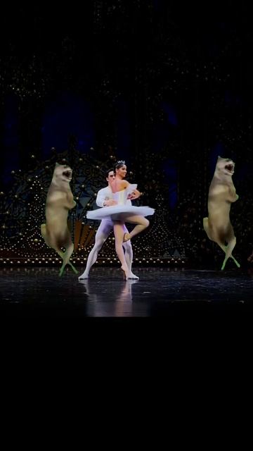 Пришла на Балет, а там ? #ихвильнихт #ichwillnicht #shorts #тренды #trend #тикток #балет #2024 смотреть онлайн