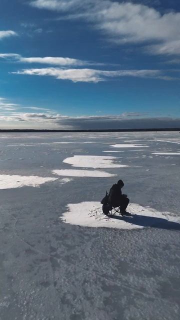 Зимняя видео рыбалка, получается)) #djimini4pro