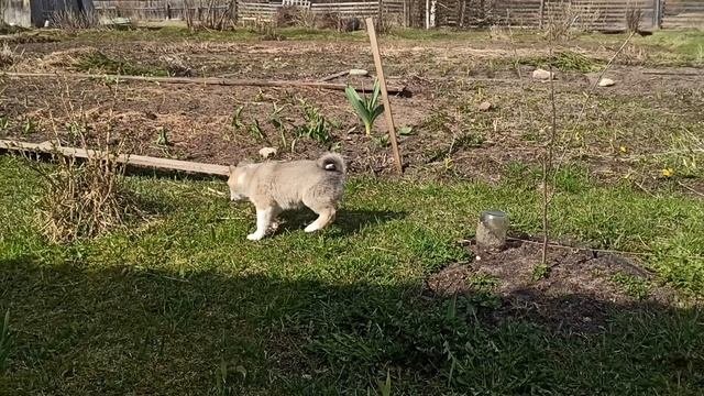 VID_20250513_083304