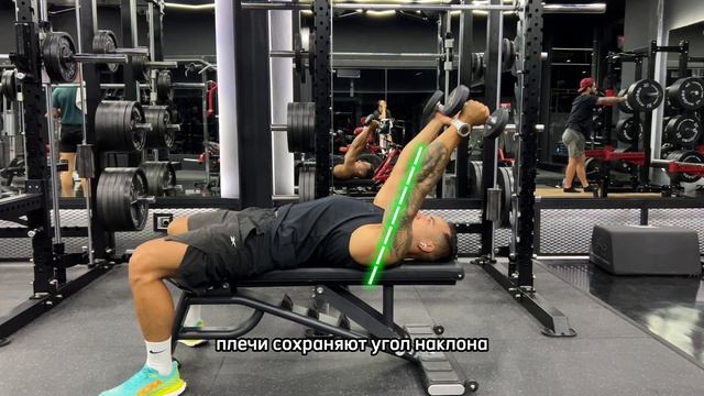 Французский жим гантелей смотреть онлайн