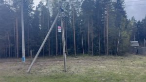 Дорога вдоль леса