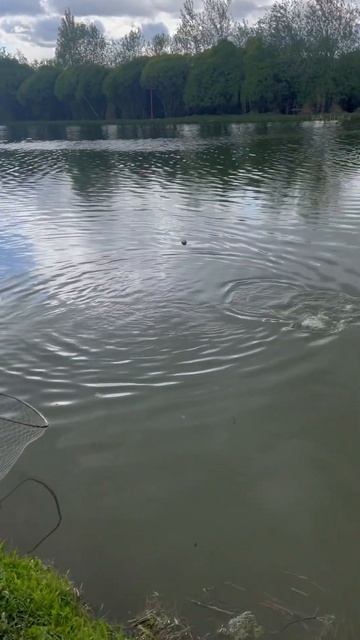 Поимка на бомбарду на выбросе смотреть онлайн