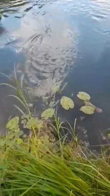 Рыбалка на самодельный кораблик. смотреть онлайн