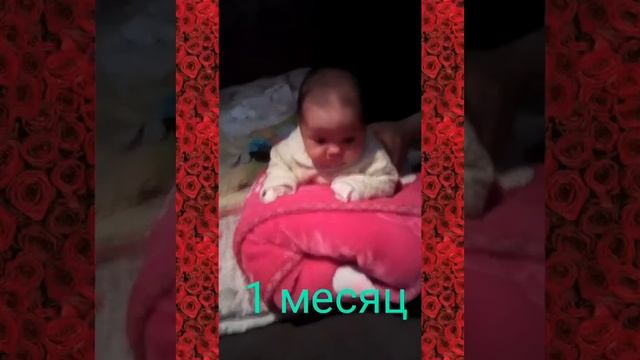 Доча Айгерим видио