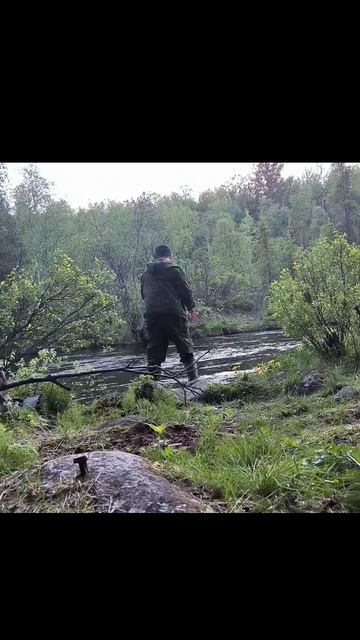 Звуки природы, нереальный кайф #рыбалка51#рыбалка#fishing#? смотреть онлайн