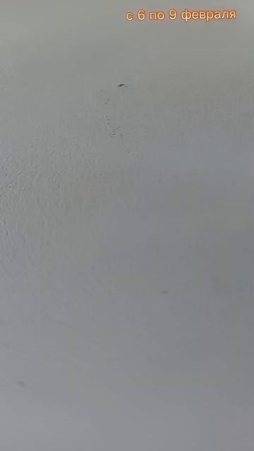 Самае классное время, когда компания запускает акции? смотреть онлайн