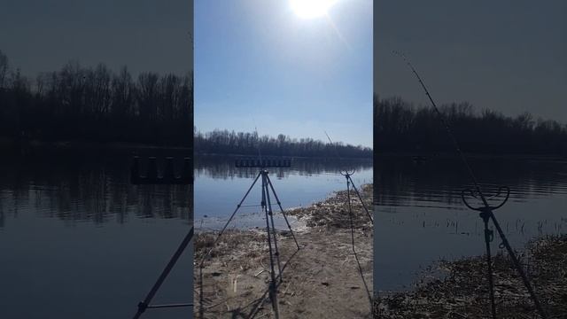 21 марта 2025 г. смотреть онлайн