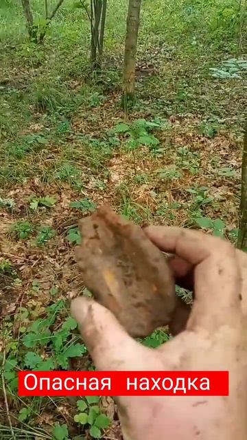 Нашел гранту в лесу #shorts #slaviklife #славиклайф #shortvideo #крас смотреть онлайн