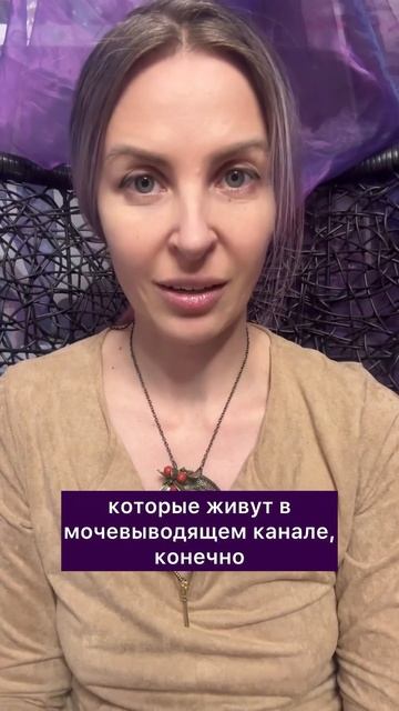 Цистоцентез #животные #кошки смотреть онлайн