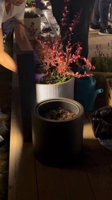 Украшение беседки для нашего проекта смотреть онлайн