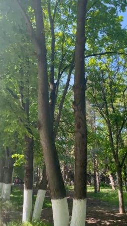 Доброе утро, Политех!