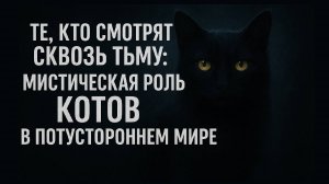 Мистическая роль котов в потустороннем мире