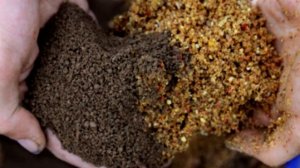 Пять советов для ловли леща