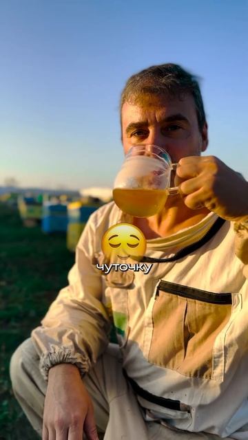 Как я перестала бояться и полюбила пчёл 🐝 смотреть онлайн