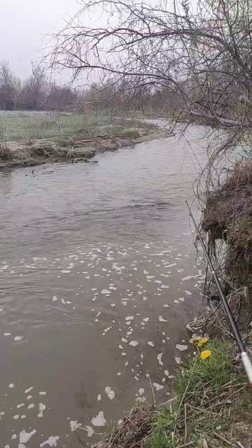 рыбалка на маленькой речке смотреть онлайн