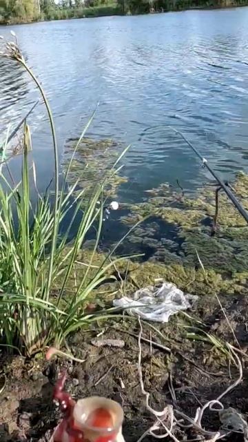 Рыбалка на поплавок 3 Сентября. смотреть онлайн