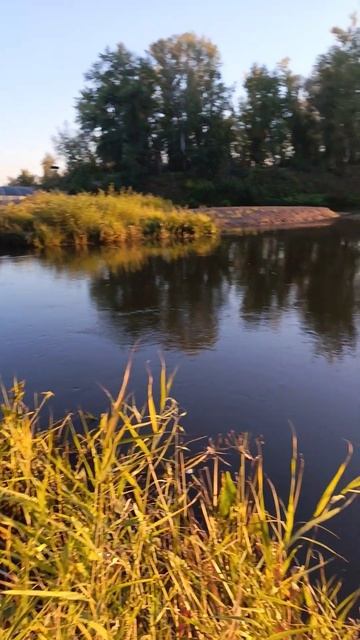 Поймал ЩУКУ на ПОПЛАВОК! | РЫБАЛКА НА ЖИВЦА! Теги: #река смотреть онлайн