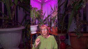 Превью о 9 Эннеатипе