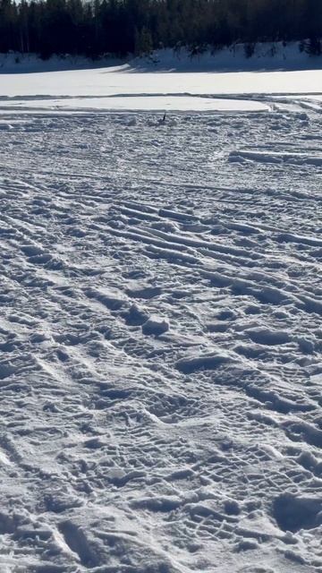 Зимняя рыбалка #fishing #wildlife #рыбалка #рыбалканаозере #natur смотреть онлайн