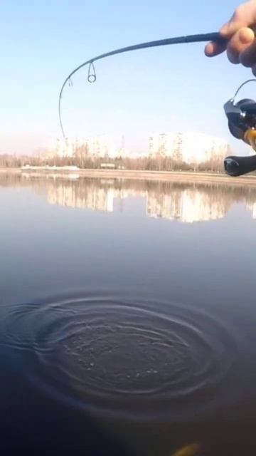 Судак на ультра лайт . #микроджиг #рыбалка смотреть онлайн