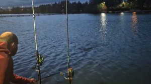 Платная рыбалка Елизаветино. Подмосковье. 20 кг карпа!