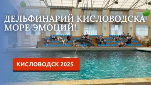 КИСЛОВОДСК 2025/ДЕЛЬФИНАРИЙ/ЗАМЕЧАТЕЛЬНОЕ РАЗВЛЕЧЕНИЕ