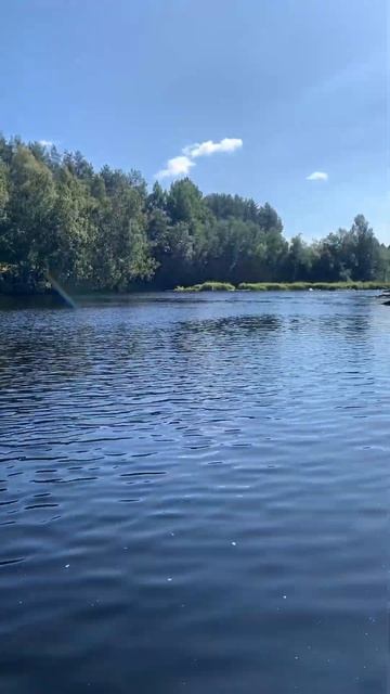 Карелия. #wood #woodwork #отдых #карелия #рыбалка смотреть онлайн